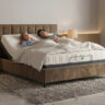 Adjustable Recliner Bed Quest 4.0, Recliner Bed, Smart Recliner Bed, Smart Bed