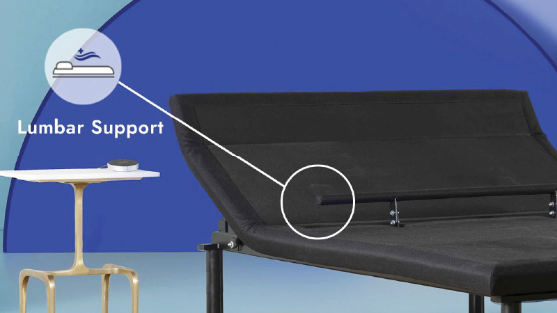 Targeted Comfort with Lumbar Support